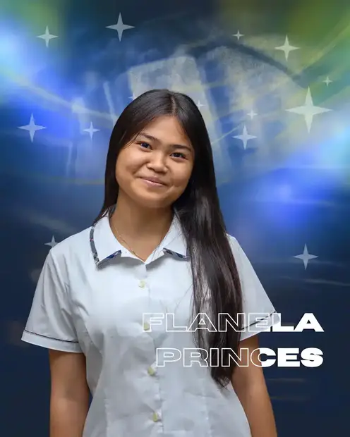 Foto Flanela Princes